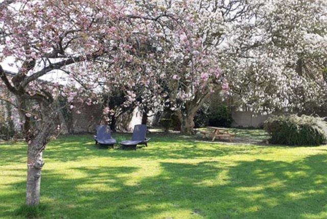 Les Appartements Fenelon Le Cateau-Cambresis Exteriér fotografie